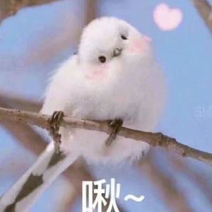 扒开上部❌狂揉下部❌中国出版
